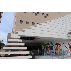 Primeiro seminário sobre doenças oculares acontece em Campo Largo